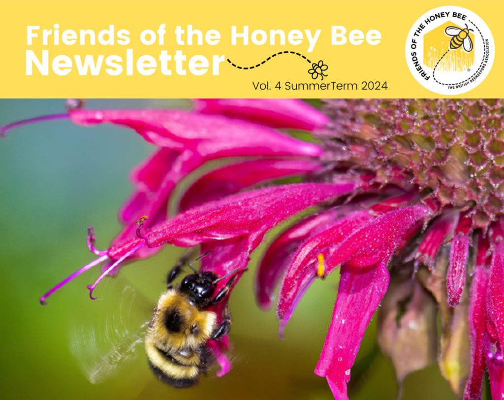 Friends of the Honey Bee Newsletter Vol. 4 Summer Term 2024 Friends of the Honey Bee Newsletter Vol. 4 Summer Term 2024
