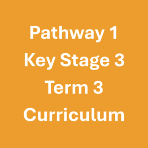Pathway 1 Key Stage 3 Term 3 Curriculum
