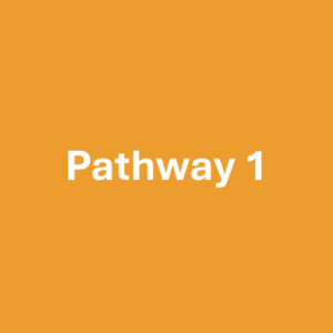 Pathway 1