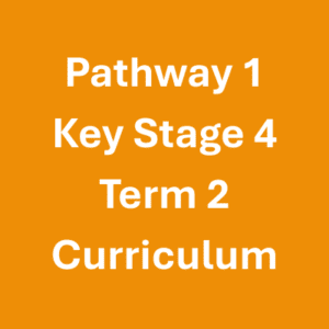 Pathway 1 Key Stage 4 Term 2 Curriculum Pathway 1 Key Stage 4 Term 2 Curriculum