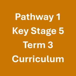 Pathway 1 Key Stage 5 Term 3 Curriculum Pathway 1 Key Stage 5 Term 3 Curriculum