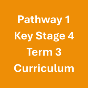 Pathway 1 Key Stage 4 Term 3 Curriculum Pathway 1 Key Stage 4 Term 3 Curriculum