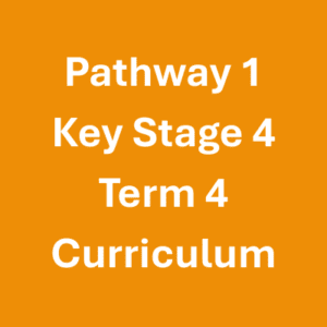 Pathway 1 Key Stage 4 Term 4 Curriculum Pathway 1 Key Stage 4 Term 4 Curriculum