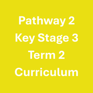 Pathway 2 KS3 Term 2