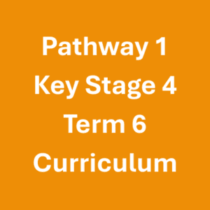 Pathway 1 KS4 Term 6 Curriculum Pathway 1 KS4 Term 6 Curriculum