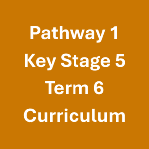 Pathway 1 KS5 Term 6 Curriculum Pathway 1 KS5 Term 6 Curriculum