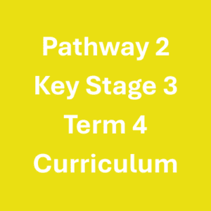 Pathway 2 KS3 Term 4 Curriculum
