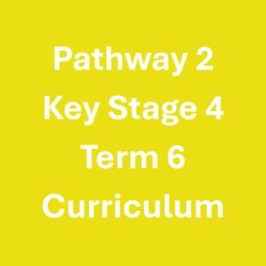 Pathway 2 KS4 Term 6 Curriculum