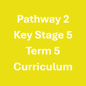 Pathway 2 KS5 Term 5 Curriculum