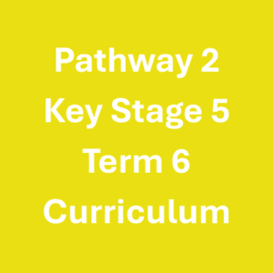 Pathway 2 KS5 Term 6 Curriculum