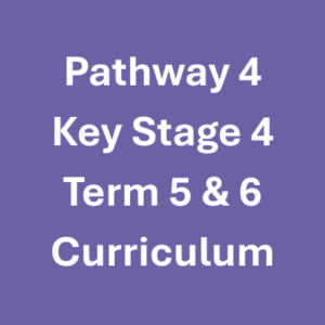 Pathway 4 KS4 Terms 5 & 6 Curriculum Pathway 4 KS4 Terms 5 & 6 Curriculum
