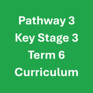 Pathway 3 KS3 Term 6 Pathway 3 KS3 Term 6