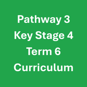 Pathway 3 KS4 Term 6 Curriculum Pathway 3 KS4 Term 6 Curriculum